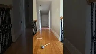 luxury vinyl plank