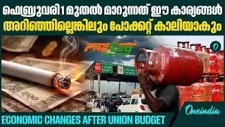 സിഗരറ്റ് വിലയിലെ 30% വർദ്ധനവാണ് ഇതിൽ പ്രധാനം | Economic Changes after Union Budget