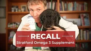Stratford Care Omega 3 Recall for Dogs and Cats &ndash; Should You Be Concerned?