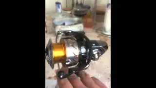 Дайва сертейт 3000
