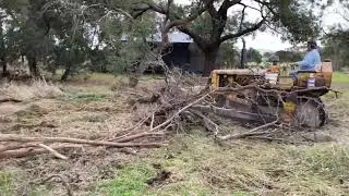 D47U Cat Bulldozer Pushing Trees | April 2021