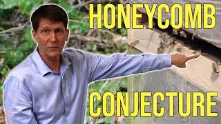 Почему пчёлы строят шестиугольники? Гипотеза о сотах, изложенная Томасом Хейлзом.