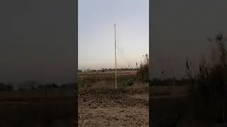صيد البلابل تصوير روعه 🤪بتاريخ 13/2/2021 اشتركو بلقناة حبايب كلبي