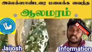 Secret Miracle Advantages of Banyan Tree Motivational quotes Speech Video Tamil Motivation Speaker
