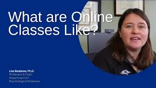 What are MSU Denver Online Classes Like?