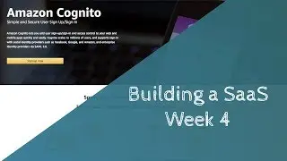 Sparkki Weekly Progress #4 - Problems with AWS Cognito and Node.js