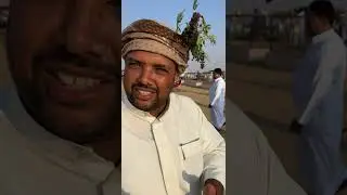 الماعز البيشي