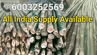 All Types Of Bamboo Available Here || Assam Bamboo Supplier || Assam Bamboo || Erion Industries