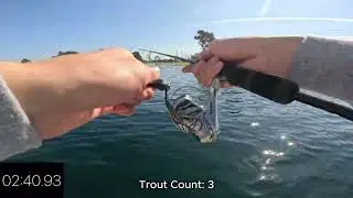 5 fish in under 5 minutes! Trout Fishing Don Knabe Community Regional Park in Cerritos, CA