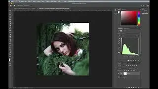 Correcting Colors with Curves