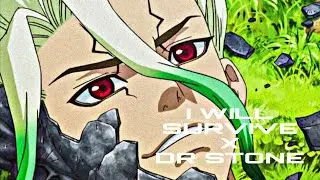 I will survive x Doctor Stone AMV 