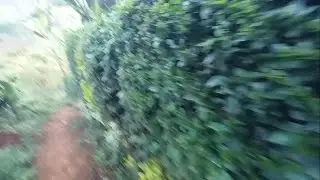 Walk Through The Most Quiet Village In Africa!!