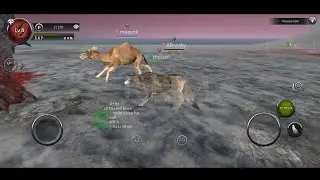 Animals Game - Camel, Fox, Sheep Games | Wild Animals Games | Wolf Games | Animal Simulator Games