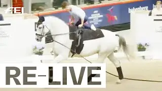 RE-LIVE | Individual Male - Junior Freestyle I FEI Vaulting European Championship for Juniors
