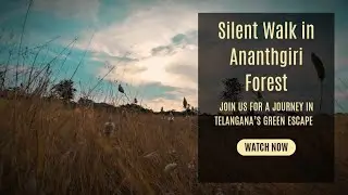Silent Walk in Ananthgiri Forest | Telangana&rsquo;s Green Escape