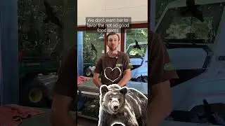 Part 2: Get ready with BEAR SANCTUARY M&uuml;ritz for Flora&rsquo;s rescue & the Bear Chefs | FOUR PAWS |