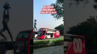 Melihat Bus Wisata TransJakarta Edisi HUT RI 80th #shorts  #transjakarta #busmania #transportation