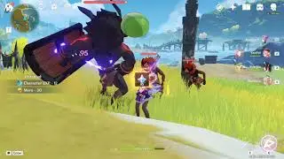 Genshin impact Level 17 (part 4)