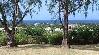 High Constantia, St Philip, Barbados. www.barbados-realestate.com