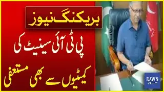 PTI Also Resigns From Senate Committees | Breaking News | Dawn News