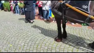 Domweihumzug 2015