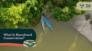 Biocultural Conservation: Protecting Land, Culture, and Life | Amazon Conservation Team