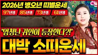2026년 병오년 대박나는 소띠운세🐮소띠에게 다가올 가장 기대되는 소식은?｜97년생,85년생,73년생,61년생 주목!!