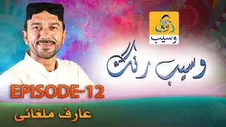Waseb Rang | Episode 12 | Arif Malghani | Music Show | Saraiki | WasebTV