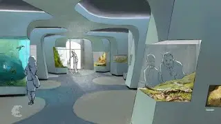 Creating an amphibian house: the 