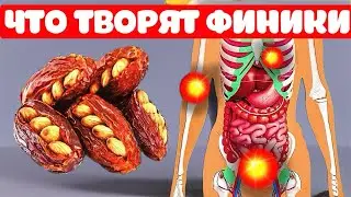 ФИНИКИ — суперфуд или опасный МИФ? Вся правда о ПОЛЬЗЕ, вреде и назначении этих сладких плодов.