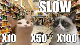 Pop Cat Skittles Meme SLOW