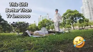 Cortis Is the Funniest K-Pop Group NO DEBATE | Chuseok Hangang [reaction]