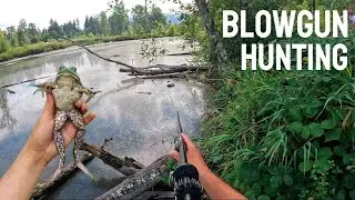 BLOWGUN and SLINGSHOT Hunting for FROGS! | Cold Steel Blowgun |