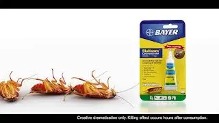 Гель от тараканов Blattanex&reg; Следующий в очереди