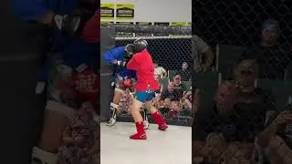 Combat sambo fight headbutt