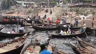 Bangladesh's Sadar ghat is the real kala paani: boats jostle with humans in murky waters