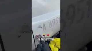 FLASH the Adhesive Assassin 