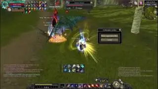 Silkroad Online Unique
