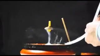 Science Bitch