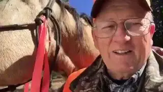 Bambi the Wonder Horse - The trail less traveled