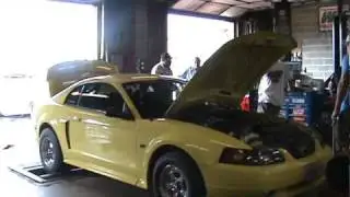 new edge mustang GT with a procharger 509hp