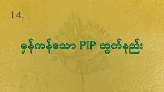 14. မှန်ကန်သော Pip တွက်နည်း