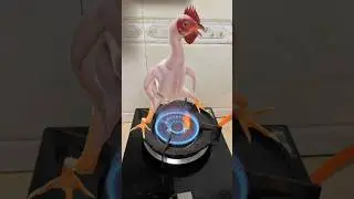 New Chicken Song 🐔 (Dj Remix) #chicken #chickendance