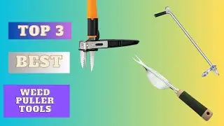 Best Weed Puller Tools | Gurden Tools | 2023