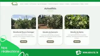 Nos r&eacute;alisations : Shedan extraits aromatiques, purs et naturels