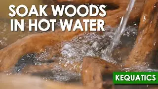 How to Prepare Driftwoods for Aquarium