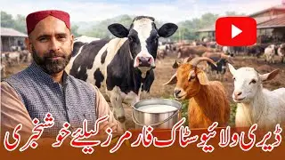 Janwar Bhat kamti han ye food security b han