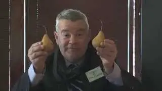 Poking Fun @ Small Business Cash Flow Problems