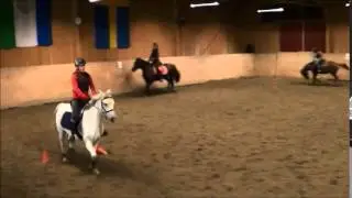 Caddy & Elise - &Aring;s Ridskola