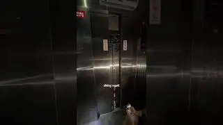 Đang đi thang m&aacute;y th&igrave; mất điện
